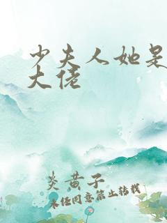 少夫人她是满级大佬