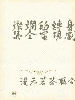 灿烂的转身40集全电视剧解说