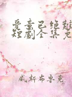 爱意已绝难再续短剧全集免费观看高清