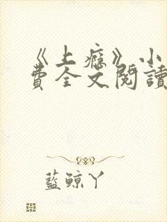 《上瘾》小说免费全文阅读在线