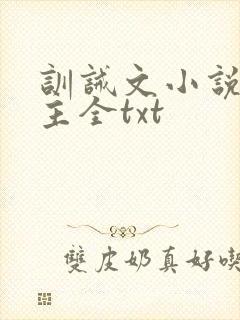 训诫文小说双男主全txt