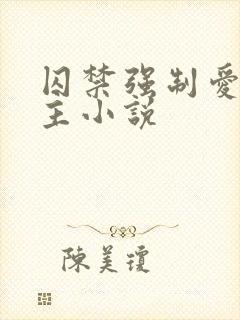 囚禁强制爱双男主小说