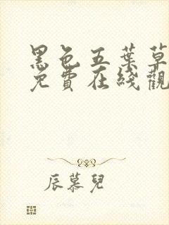 黑色五叶草漫画免费在线观看