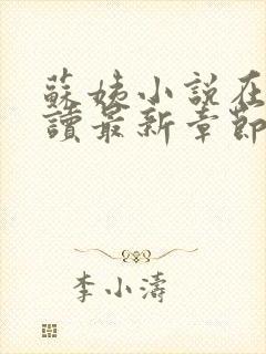 苏姨小说在线阅读最新章节