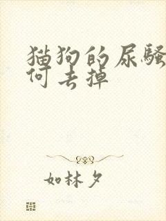 猫狗的尿骚味如何去掉