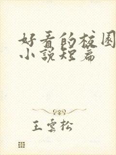 好看的校园言情小说短篇