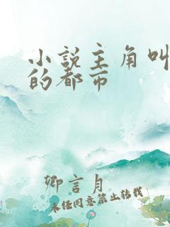 小说主角叫叶凡的都市