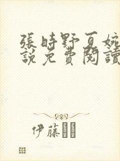 张时野夏婉央小说免费阅读笔趣阁