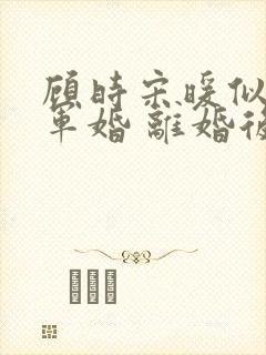 顾时宋暖似婚(军婚 离婚后)