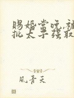 赐婚当晚,被疯批太子强取豪夺全文免费阅读