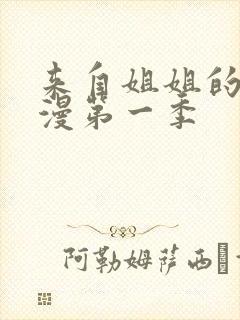 来自姐姐的爱动漫第一季