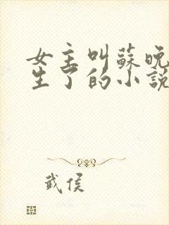 女主叫苏晚棠重生了的小说