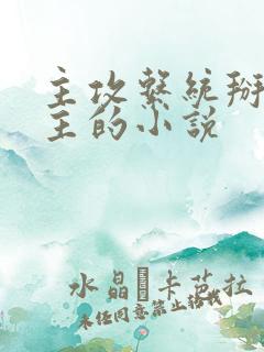 主攻系统掰弯男主的小说