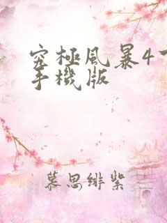 究极风暴4下载手机版