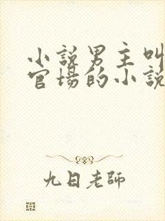 小说男主叫陈泽官场的小说