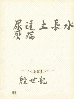 尿道上长水泡什么病