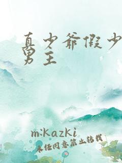 真少爷假少爷双男主