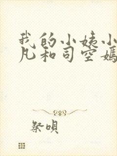 我的小姨小说叶凡和司空嫣然在一起