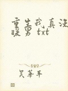 重生我真没想当暖男 txt