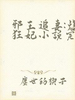 邪王追妻:爆宠狂妃小说完整