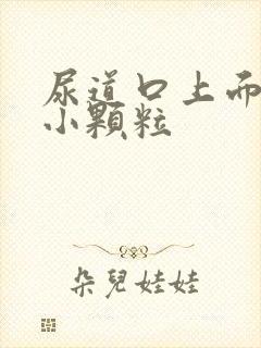 尿道口上面起了小颗粒