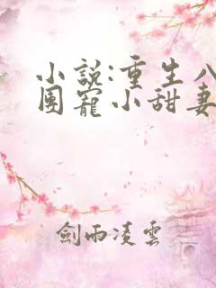 小说:重生八零团宠小甜妻