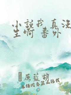 小说我真没想重生啊 番外