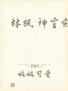 林枫 神霄剑修