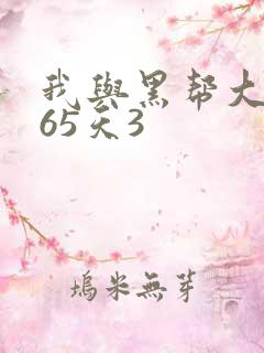 我与黑帮大佬365天3