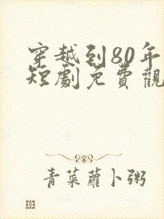 穿越到80年代短剧免费观看