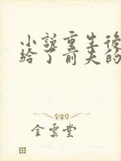 小说重生后我嫁给了前夫的死对头