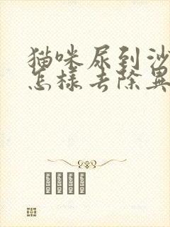 猫咪尿到沙发上怎样去除异味