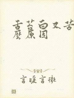 舌苔白又苦是什么原因