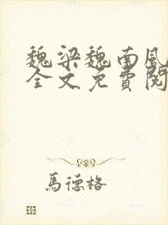 魏梁魏南风po全文免费阅读笔趣阁