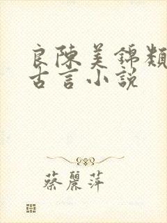 良陈美锦类似的古言小说