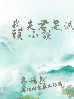 我夫君是灭世魔头 小说