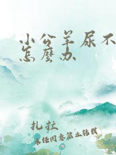 小公羊尿不出来怎么办