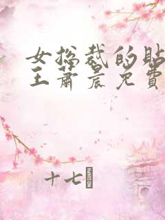 女总裁的贴身兵王萧晨免费