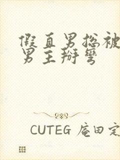 假直男总被言情男主掰弯