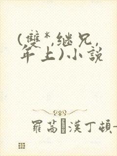 (双*,继兄,年上)小说