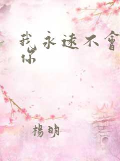 我永远不会放弃你