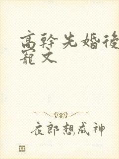 高干先婚后爱甜宠文