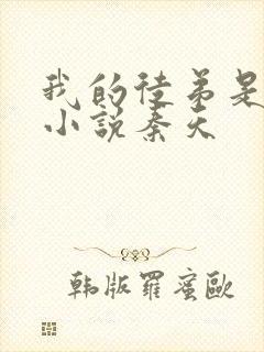 我的徒弟是女帝小说秦天