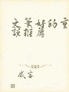 文笔好的重生小说推荐