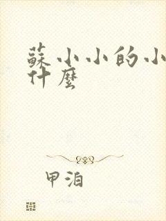 苏小小的小说叫什么