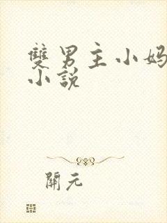 双男主小妈文学小说