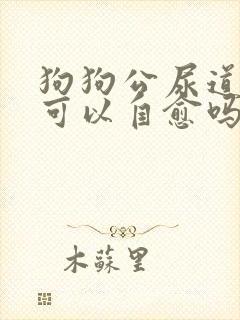 狗狗公尿道滴血可以自愈吗