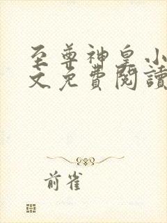 至尊神皇小说全文免费阅读完整版