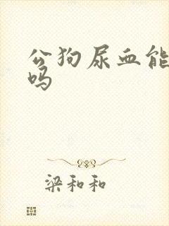 公狗尿血能自愈吗