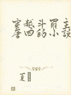 穿越斗罗主角叫唐四的小说